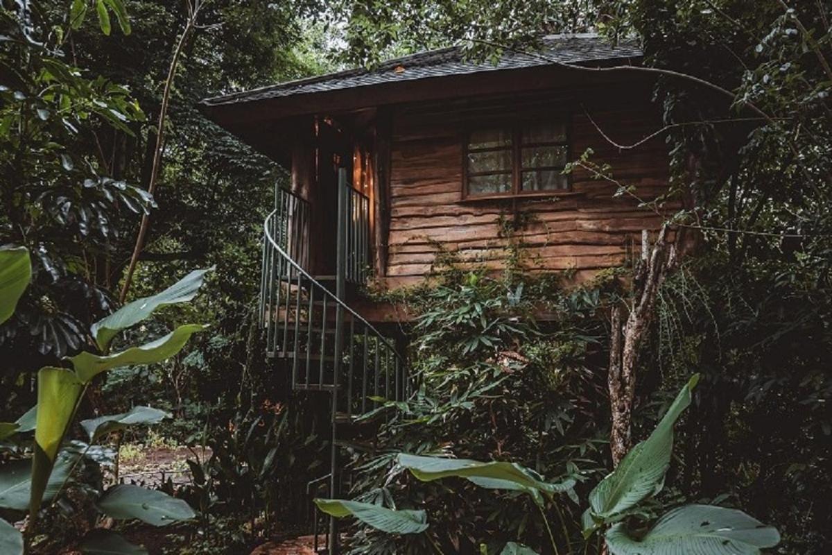 Villa Roots Tree House Uluwatu Exterior foto